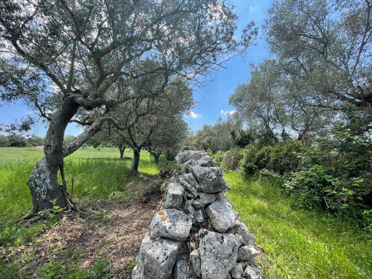 Trullo Trullallero Martina Franca Bagian luar foto